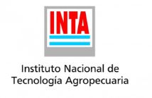 inta inta